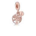 Pandora Jewelry Family Heritage Dangle Charm-Pandora Jewelry Rose & Clear CZ 781728CZ