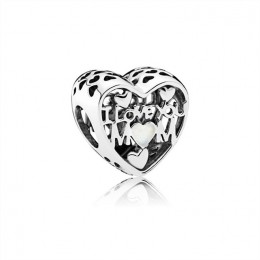 Pandora Jewelry Love for Mother Openwork Charm 792067EN23
